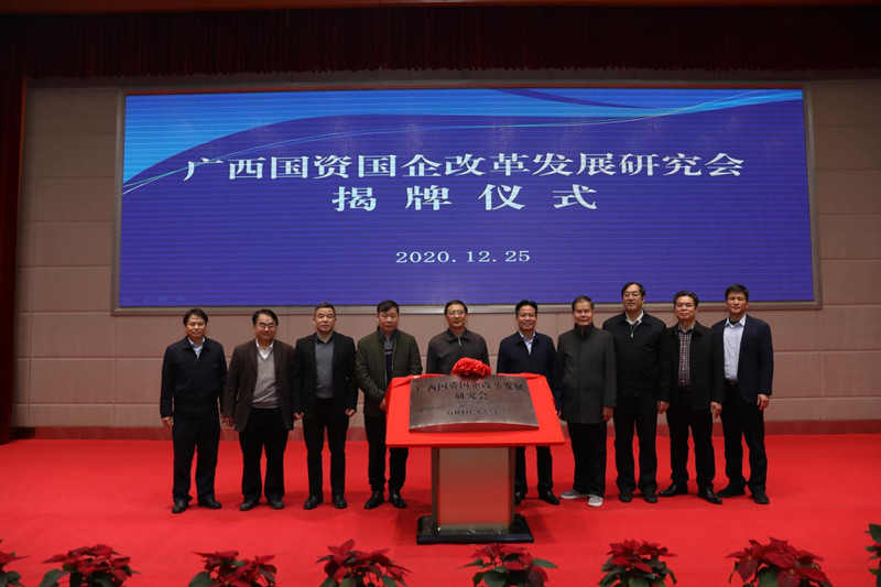辦好廣西國(guó)資國(guó)企改革發(fā)展研究會(huì)  努力發(fā)揮國(guó)企智庫(kù)新優(yōu)勢(shì) 
